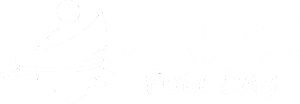 Uros Full Day